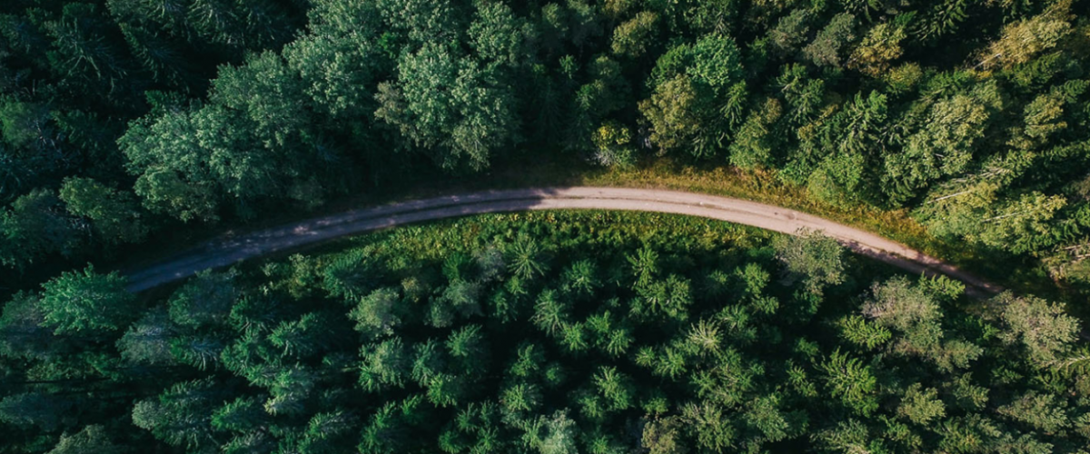 Sürdürülebilirlik